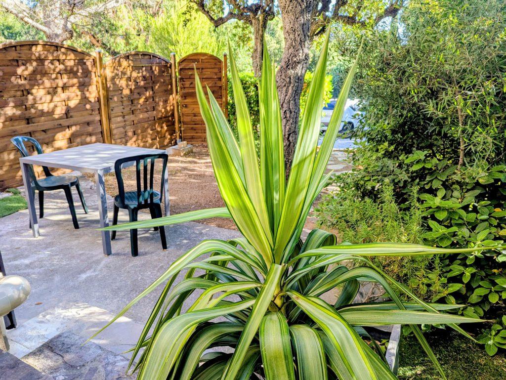 terrasse location vacances bord de mer Mimosa